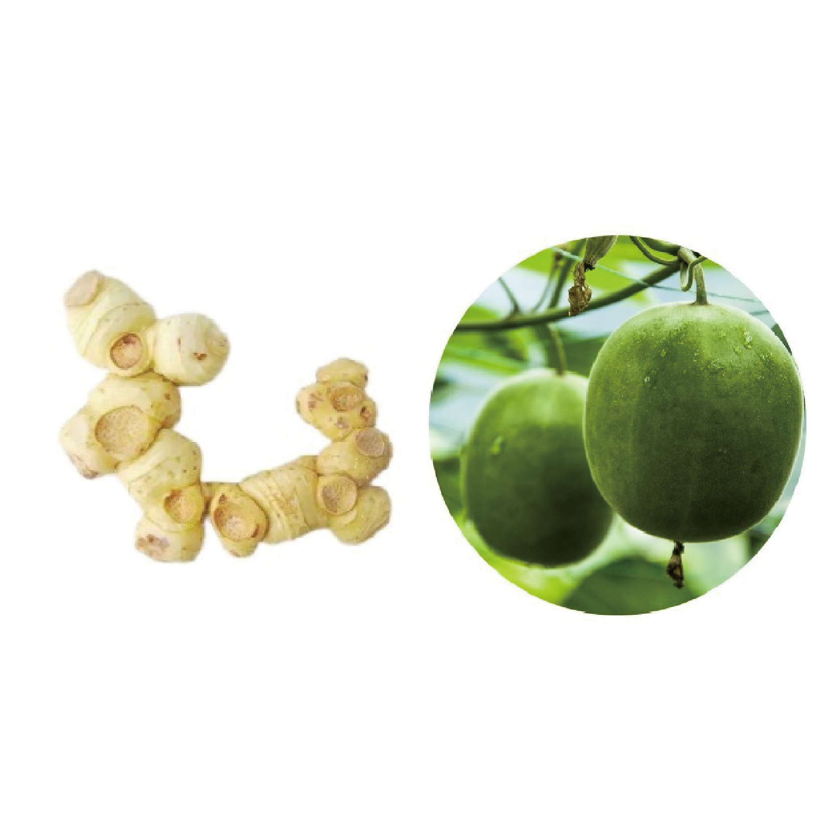 Monk Fruit&Polygonati Rhizoma  Compound Powder